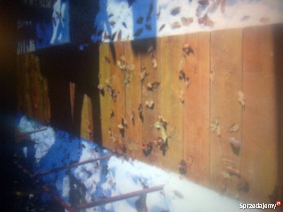 Drewno betonowedeski z betonupieńki Wolsztyn