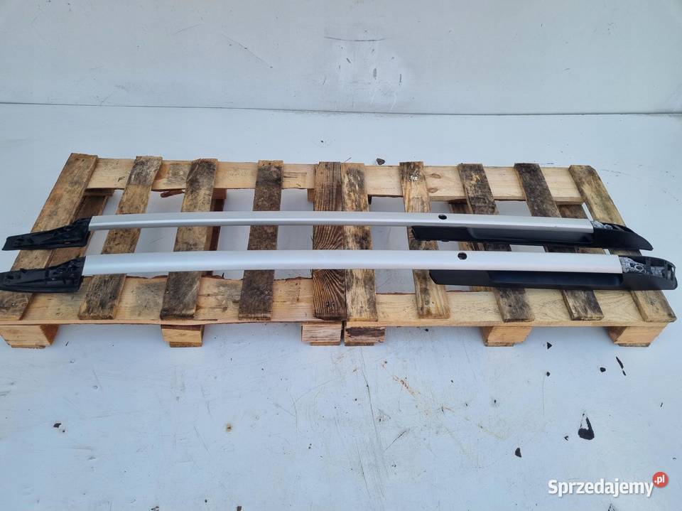 RELINGI DACHOWE Renault Scenic II lift Conquest