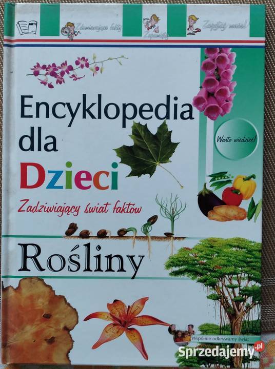 książki dzieci Bukowno