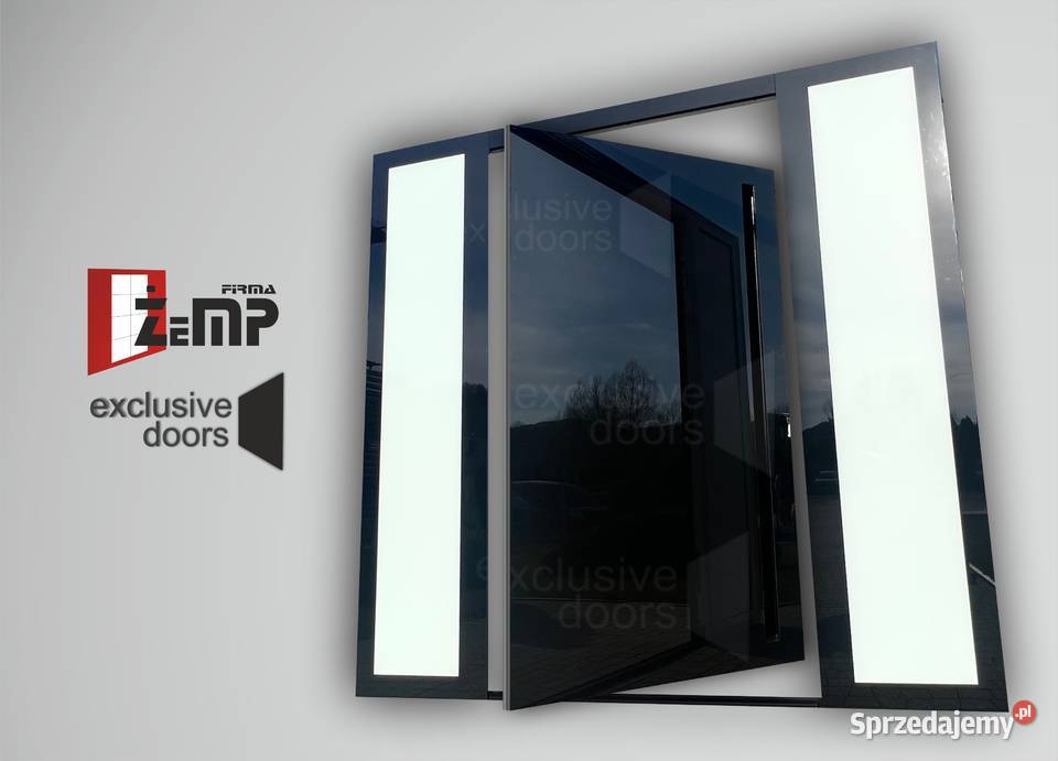 Drzwi wejściowe MasterLine 8 Pivot Door Nowy Sącz