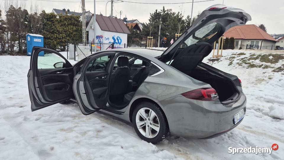 Opel Insignia stan salonowy podkarpackie