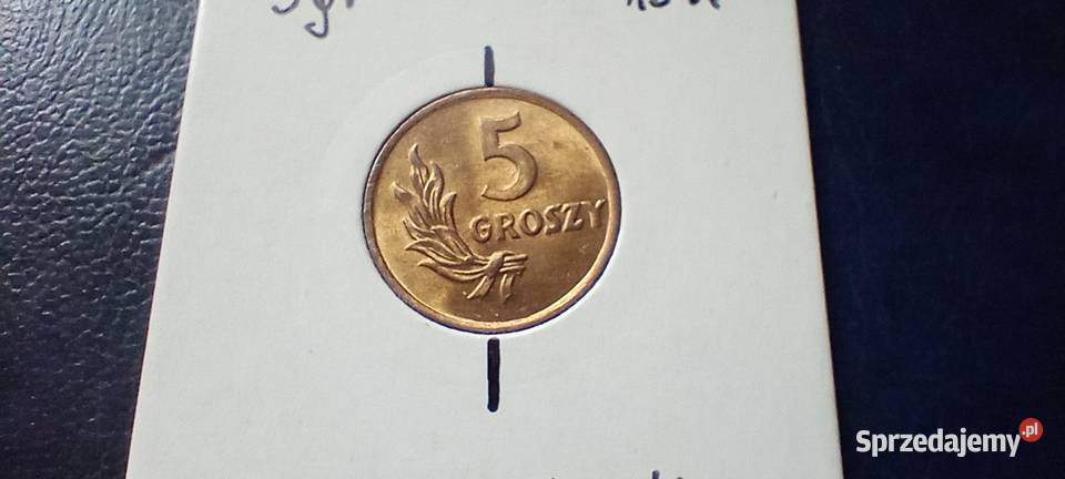 Stare monety 5 groszy 1949 Brąz skrętka Polska Numizmatyka Lesko