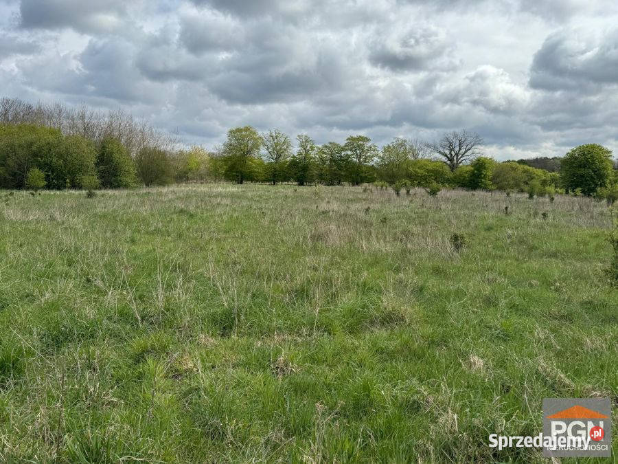 Działka 3000m2 Grębowo 120zł/m2 Sprzedaż
