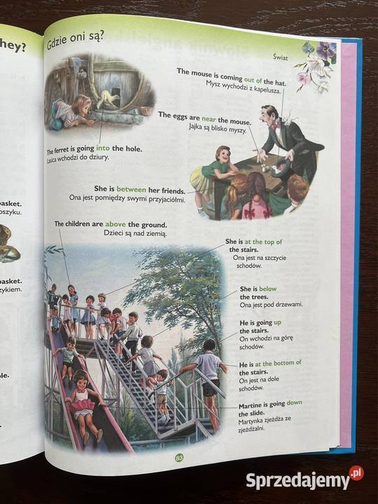 Martynka słownik angielskopolski śląskie Częstochowa