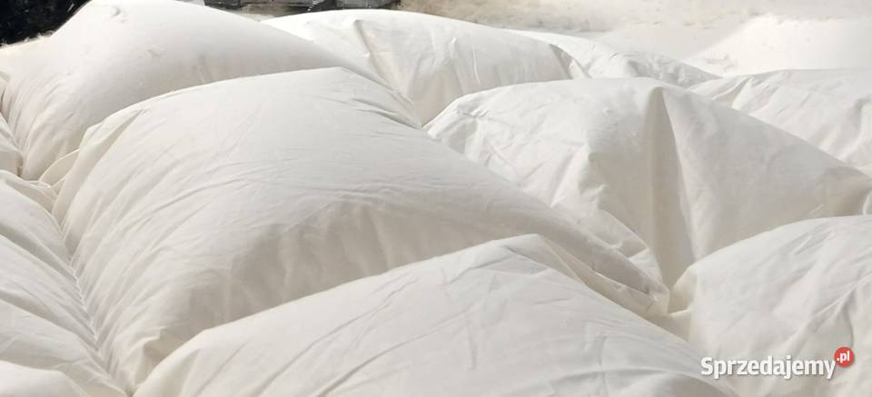 Koldra 200x220 2 100 puch I pierze gesie Poznań