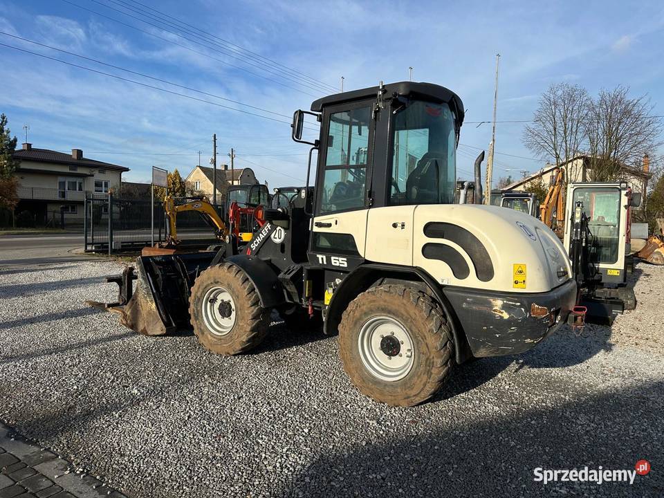 SCHAEFF TL65 Ładowarka kołowa 2019 widły łyżka Rok produkcji 2019 Złoczew