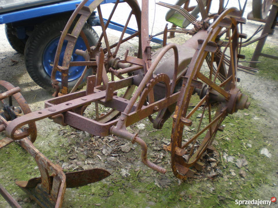 PolskaPowojennado ozdoby działkiogroduKonna Barlinek
