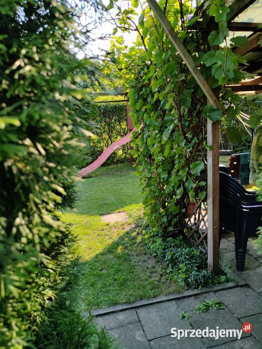 Działka ogrodowa ROD Zgoda 25m Sprzedaż Orzysz