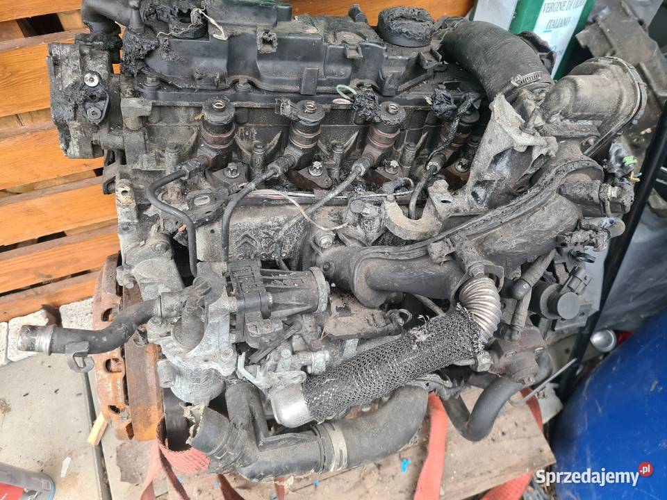 FORD FIESTA MK VII 2008 1 4 TDCI SILNIK osobowe Świerzowa Polska