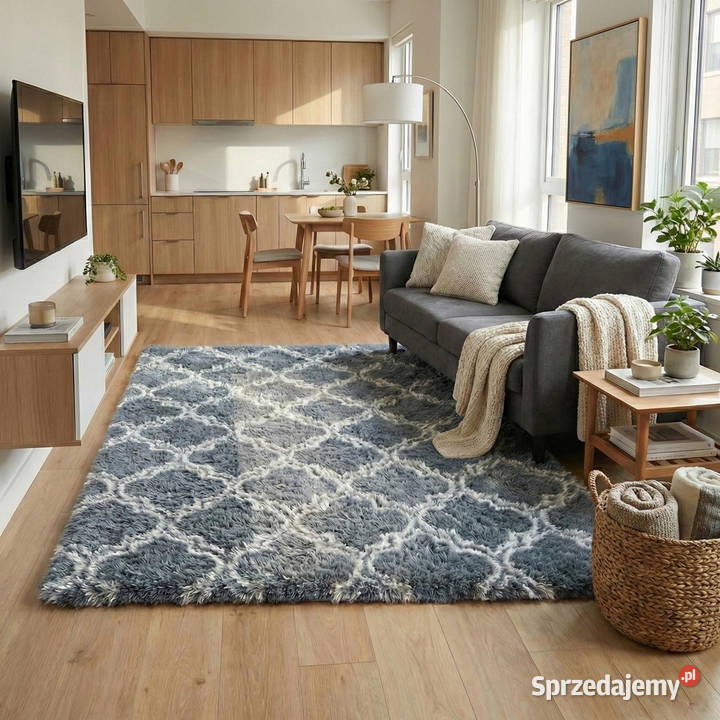 Dywan do salonu shaggy DECOR antypoślizgowy Dywany Opole