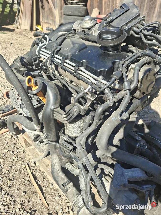 Silnik 19tdi z osprzętem i skrzynią Bodzentyn