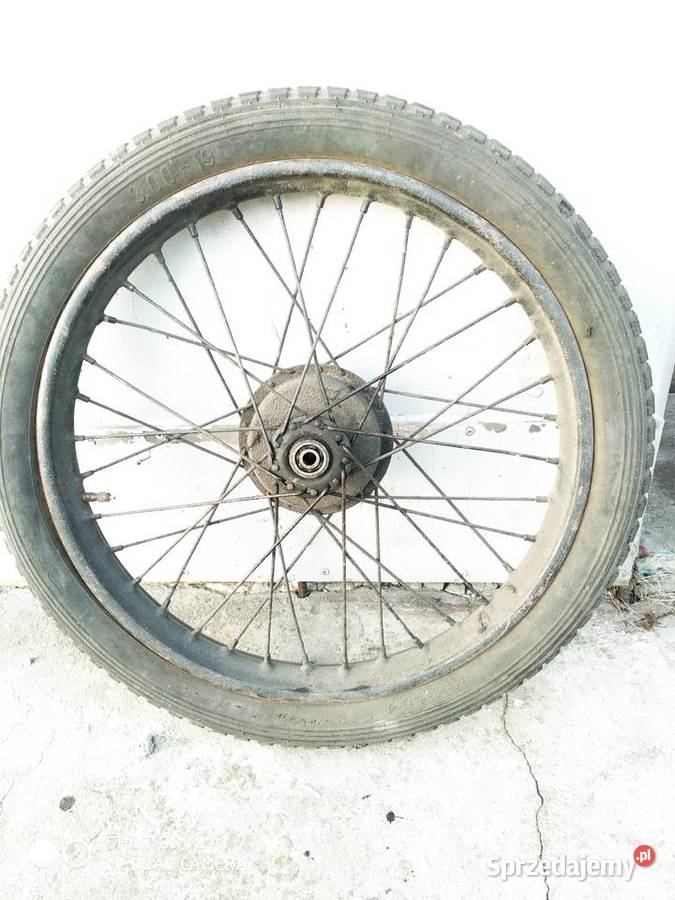 Koła koło wfmwsk Odrowąż