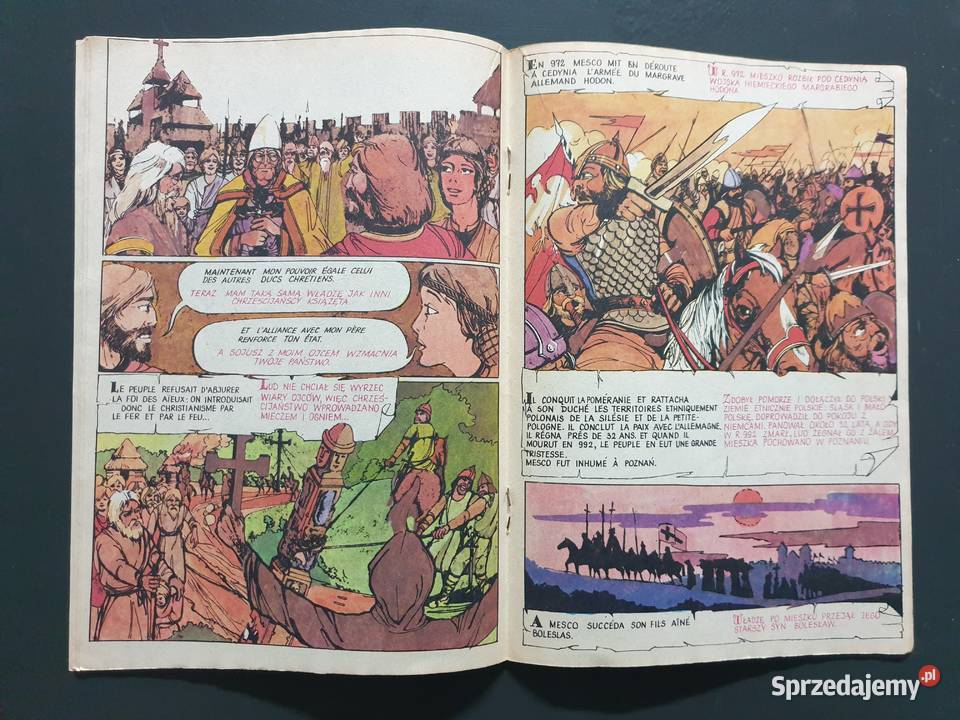 O Mieszku I i jego synu Bolesławie Chrobrym jęz sprzedam