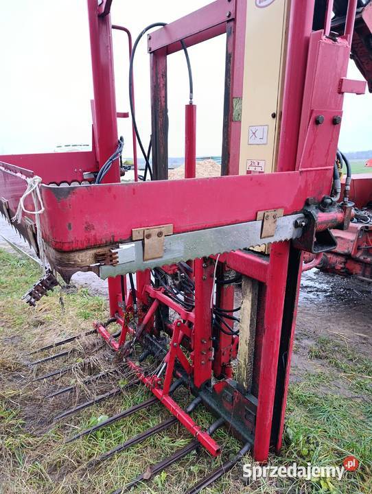 Wycinak vikon części mazowieckie Borki