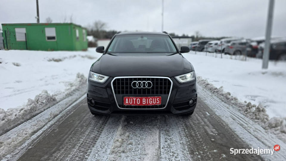 Audi Q3 bixenon ledy navi mały przebieg I nawigacja Lębork sprzedam