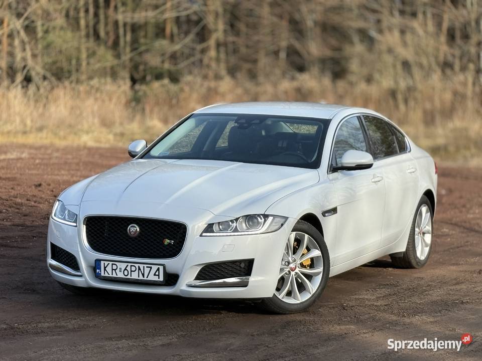Biały Jaguar XF 2016 wyjątkowy egzemplarz Rybnik