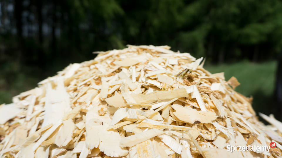 Rozdrabniacz tarczowy REMET RT630 ręki Leśnictwo Sokołów Małopolski