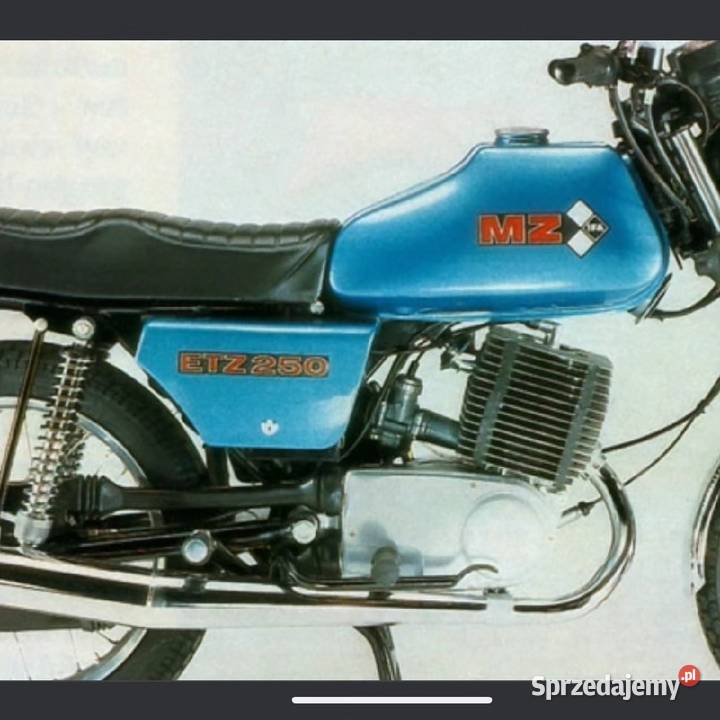 Gąbka odlewana MZ ETZ 250 Pruszków
