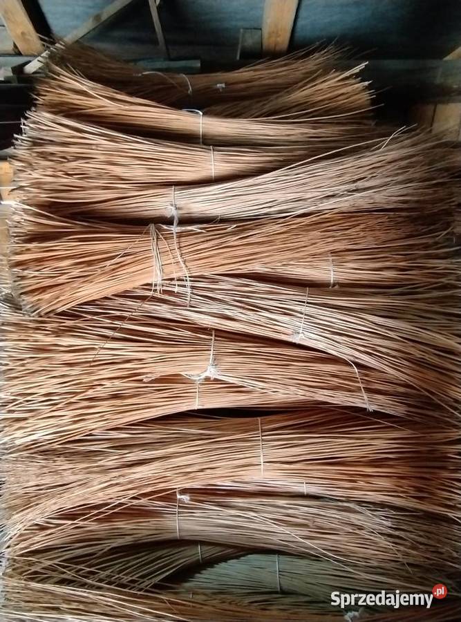 Wiklina korowana wszystkie długości Darmowy Sokołów Małopolski sprzedam