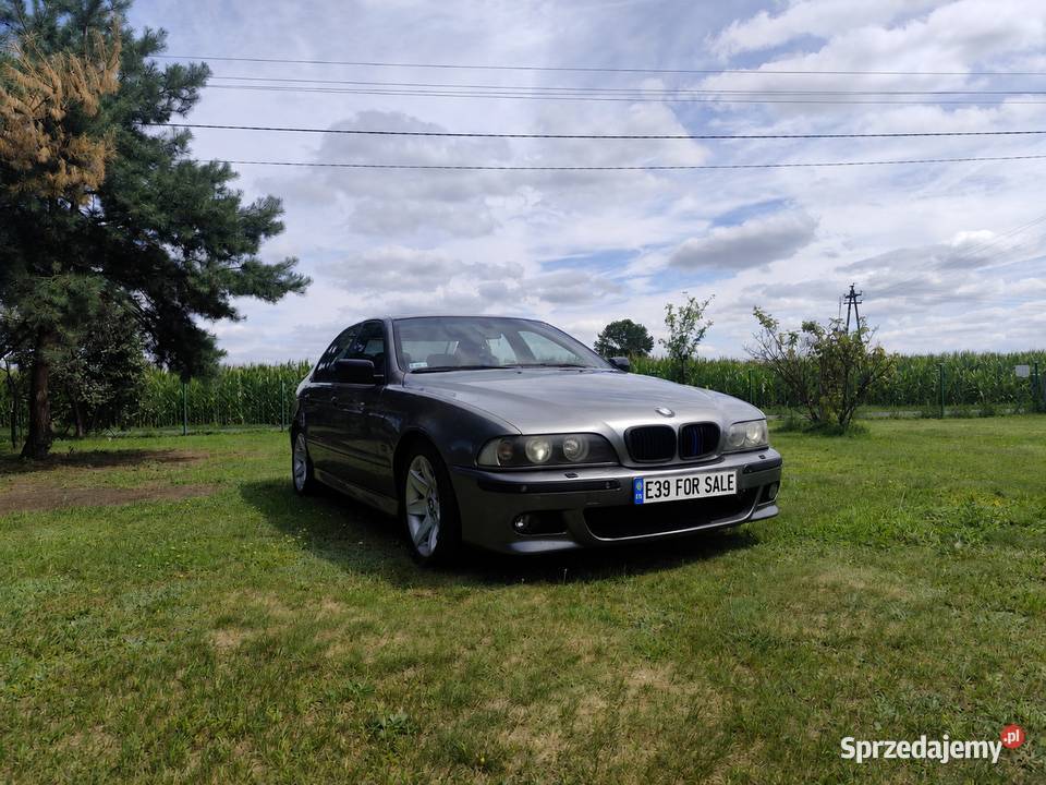 BMW e39 530d Izbica Kujawska