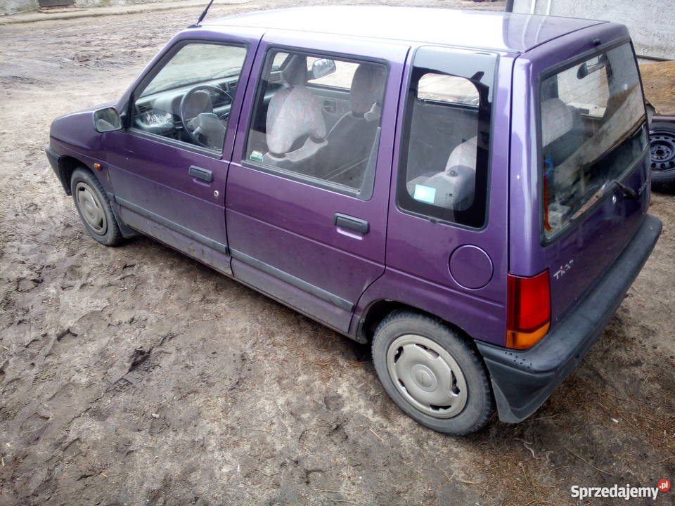 Daweo Tico Tico kujawsko-pomorskie Rypin