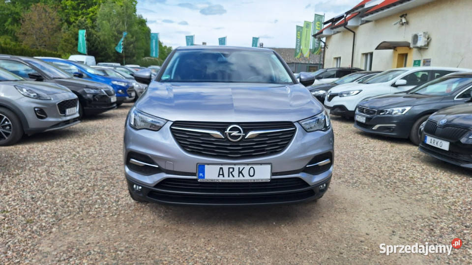 Opel Grandland X Benzyna Serwisowany światła LED Zieleniewo