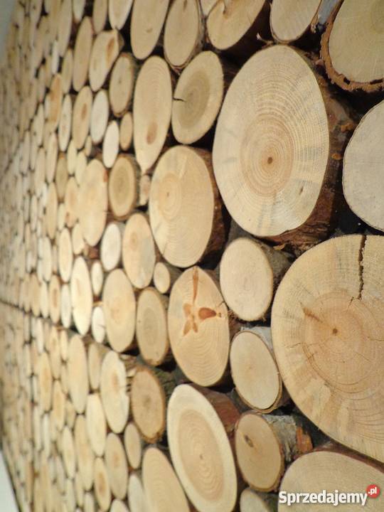 Plastry na ściane krążki drewniane szlifowane Rybnik