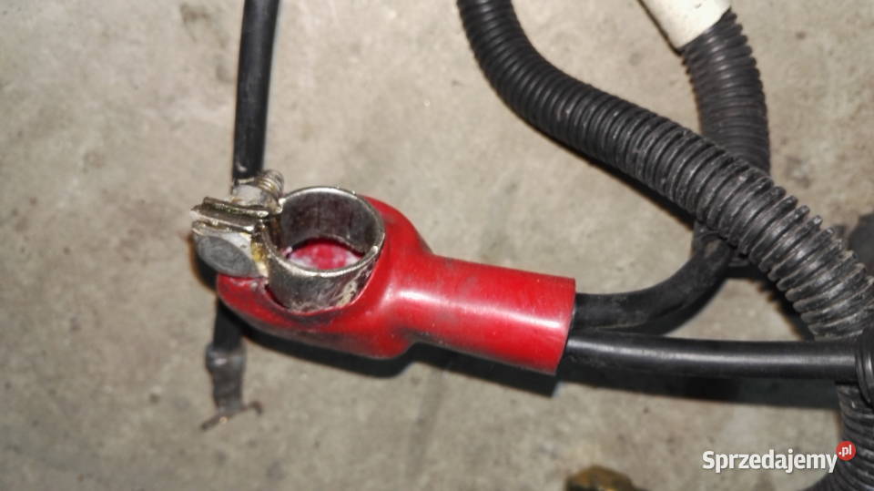 Honda accord VI 18 20 23 klema plusowa minusowa śląskie Wręczyca Wielka