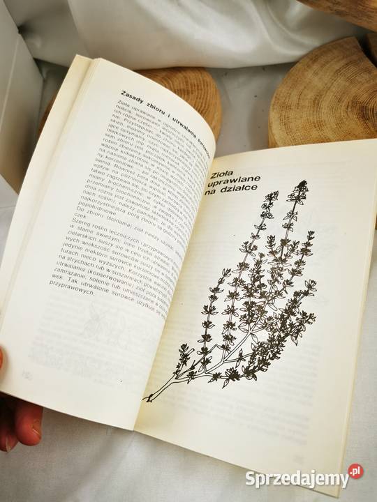 Zioła i przyprawy z własnego ogródka Wiśniowa