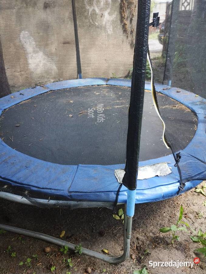 Trampolina 3 lata+ Sulechów