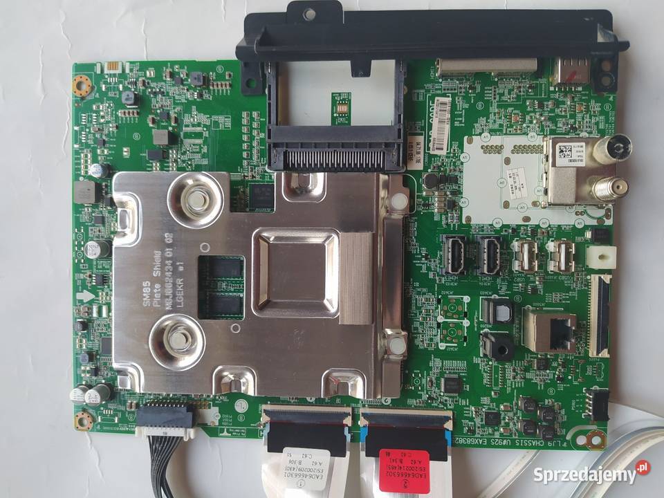 EAX6718930115 LGP49DJ17F1 LG49LK5900 Krosno sprzedam