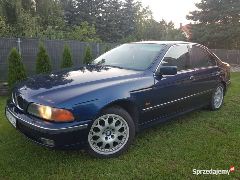 BMW E39 Lmuzyna Byczyna