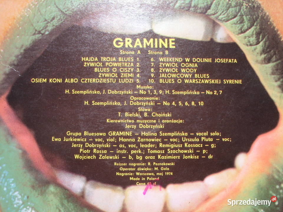 Winyl LP GRAMINEGRUPA BLUESOWA Muza SXL 1098 blues Płyty i kasety Wołów