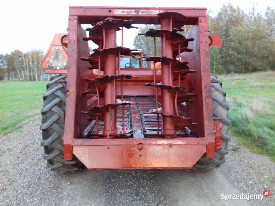 Rozrzutnik Samson Zwoleń