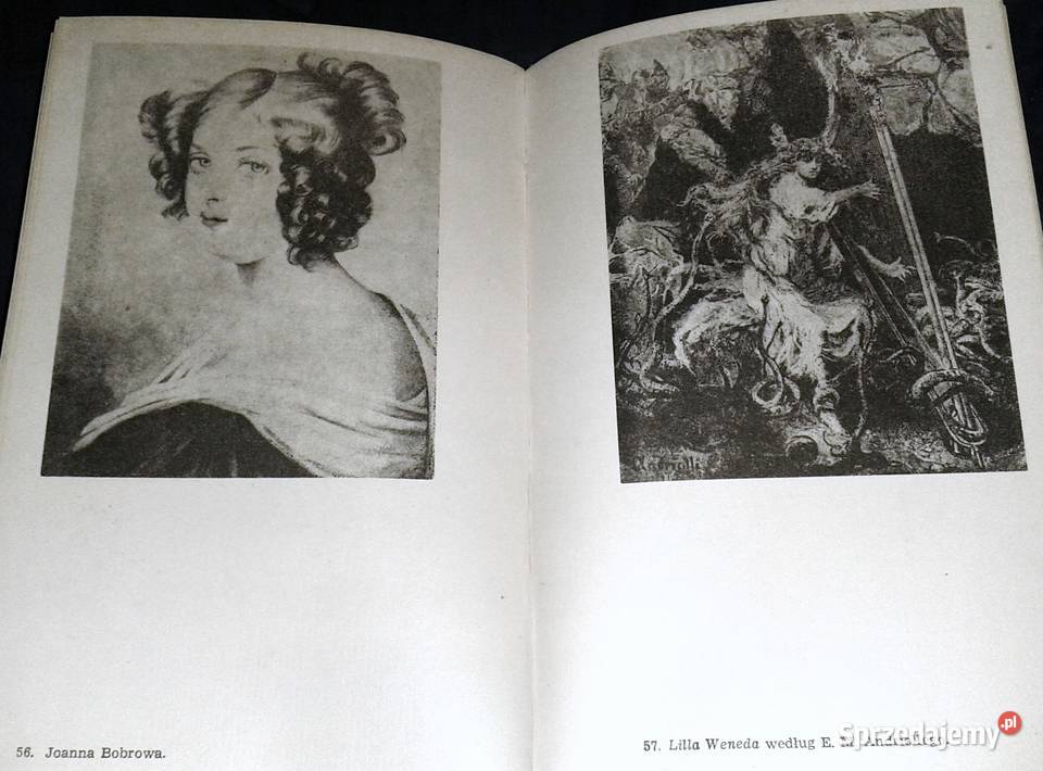 Słowacki Opowieść biograficzna Zbigniew Sudolski Chełm