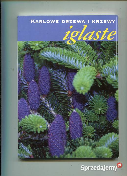 Karłowe drzewa i krzewy iglaste Marosz Szczecin