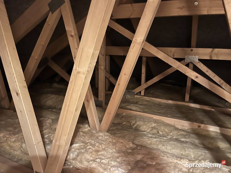 Wełna drzewna STEICO Rybnik