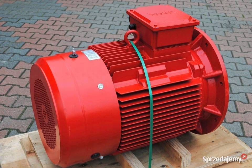 Silnik elektryczny kołnierzowy 55kw 2965obr lubuskie