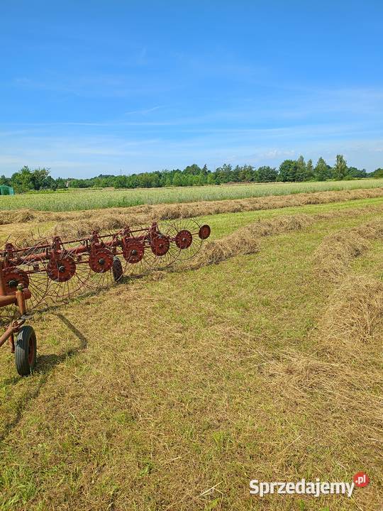 Siano baloty 120 Trawy, słoma małopolskie Wał-Ruda