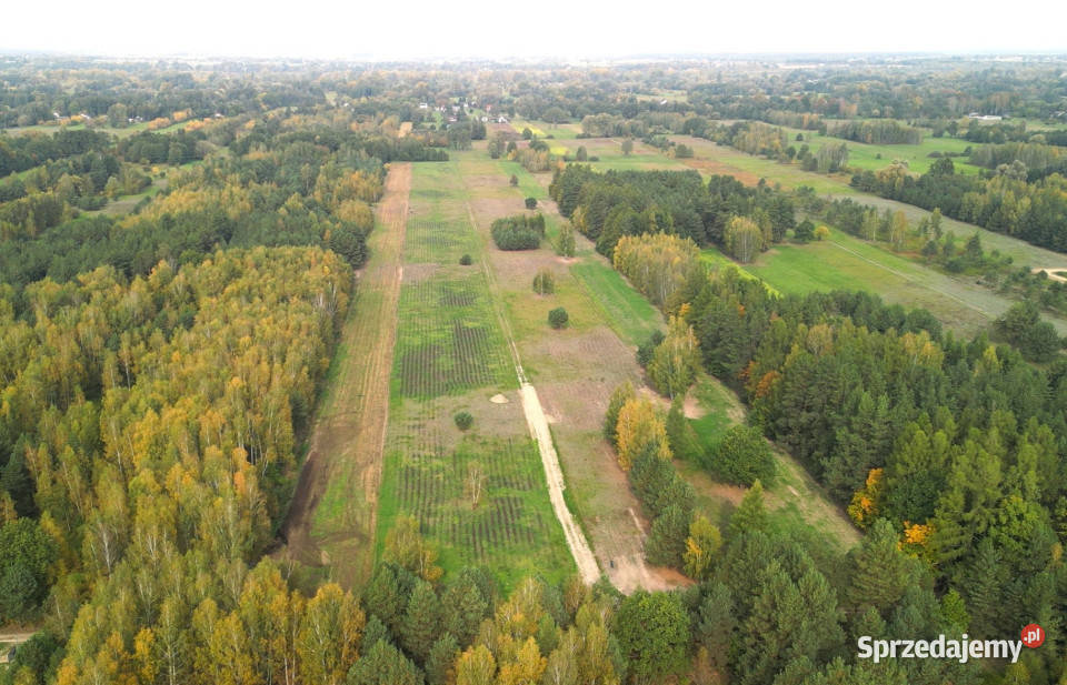Działka budowlana 1020m2 Wilków Polski
