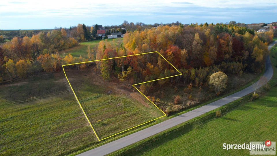 Działka 4182m2 TeodorówkaKolonia gaz Teodorówka-Kolonia