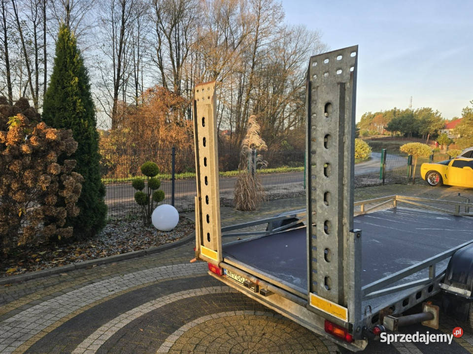 do przewozu samochodów Wiola Przyczepka do Pozostałe kujawsko-pomorskie Skępe