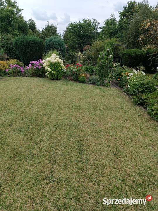 Sprzedam działkę Rodo Pozostałe śląskie Zabrze