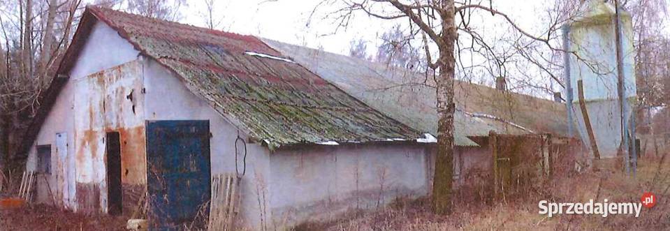 Syndyk sprzeda udział 12 w nieruchomości Nowa Wieś