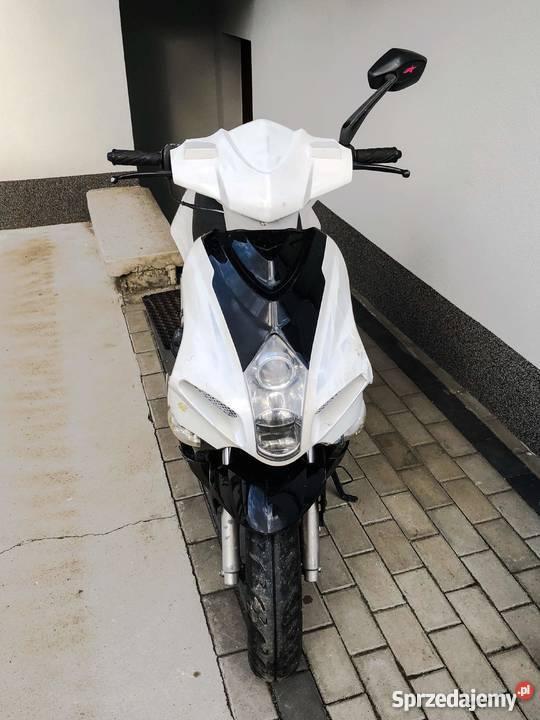 Benda Super Sport Okazja Tanio Opłacony 50cm3 Jadowniki