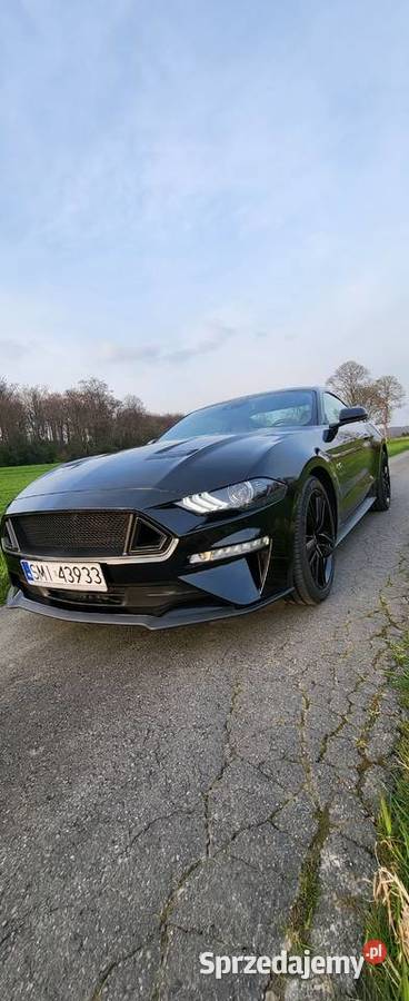 Ford Mustang 50 GT 450 koni Automat śląskie Mikołów