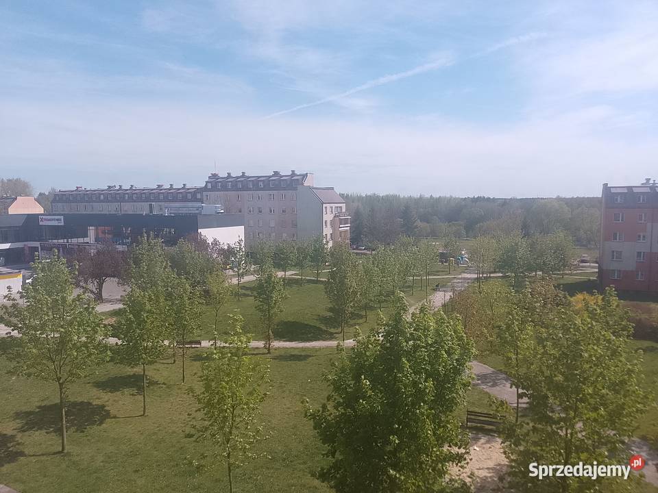 Umeblowane przestronne 3 pokoje 726 m Bełchatów 599zł/m2 łódzkie