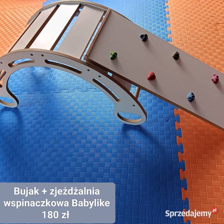 Bujak kujawsko-pomorskie Więcbork