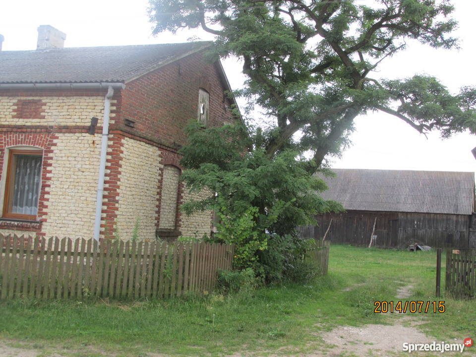 Dom budynki gospodarczo inwentarskie Domy wielkopolskie Augustynów