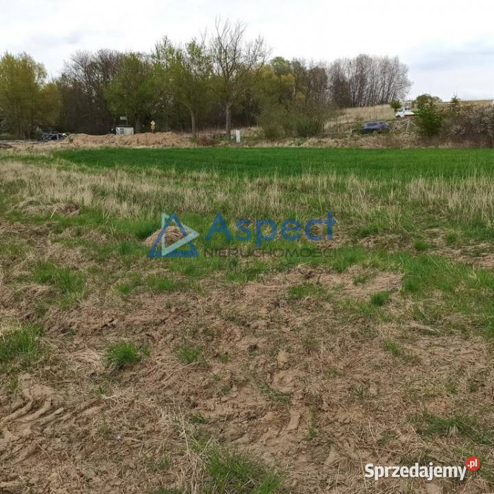 Siadło Dolne grunt inwestyc ok 3200m2 sprzedam